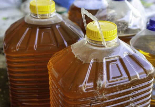 Cooking Oil Recycling Made Simple for Every Household